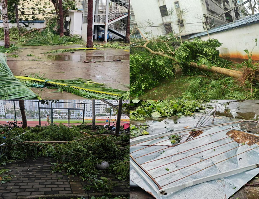 漫画18
教职工返校清理校园 做好灾后恢复工作