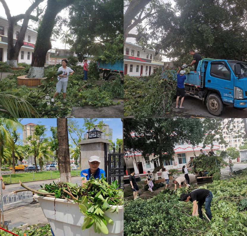 漫画18
教职工返校清理校园 做好灾后恢复工作