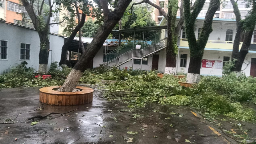 漫画18
教职工返校清理校园 做好灾后恢复工作