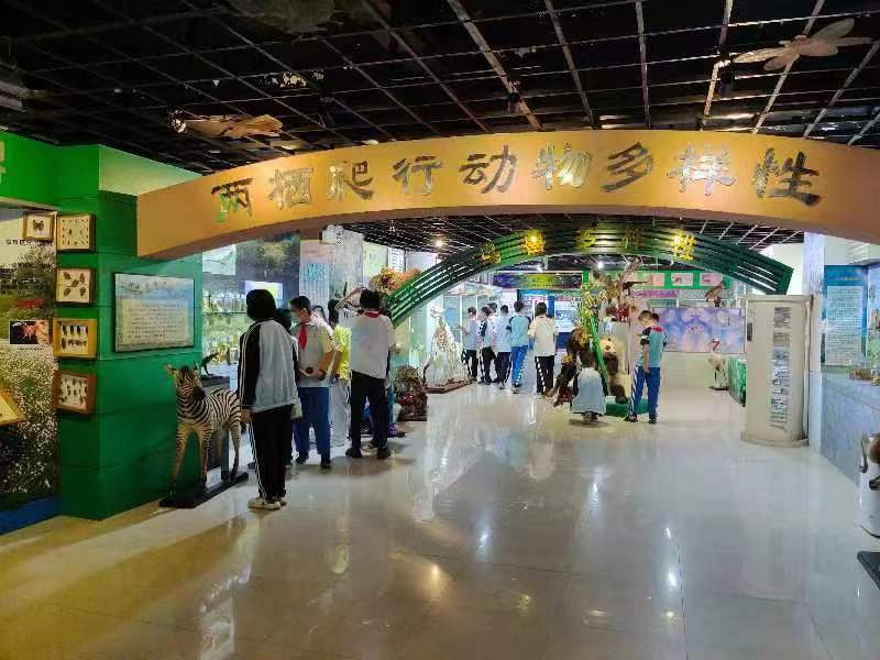 漫画18
组织学生参观海南生物多样性博物馆