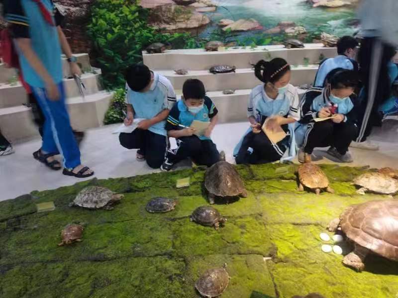 漫画18
组织学生参观海南生物多样性博物馆