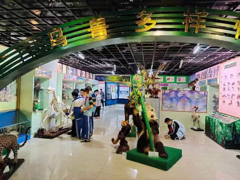 漫画18
组织学生参观海南生物多样性博物馆