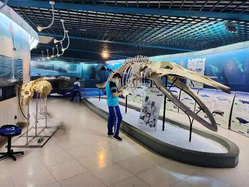 漫画18
组织学生参观海南生物多样性博物馆