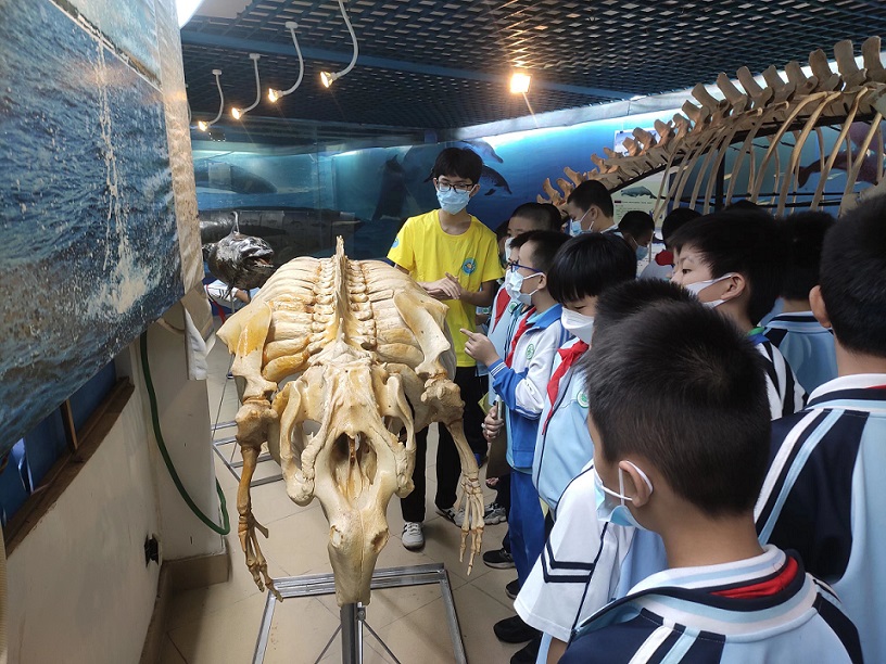 漫画18
组织学生参观海南生物多样性博物馆