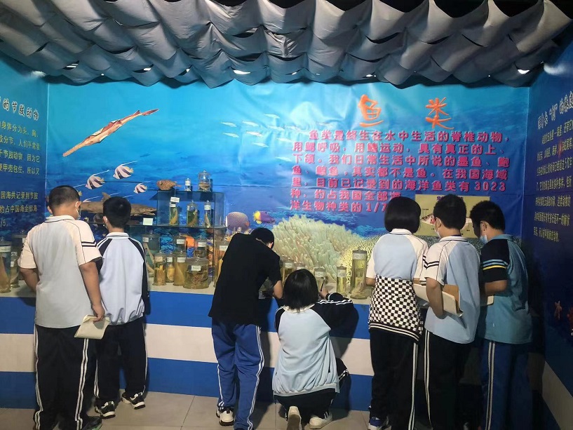 漫画18
组织学生参观海南生物多样性博物馆