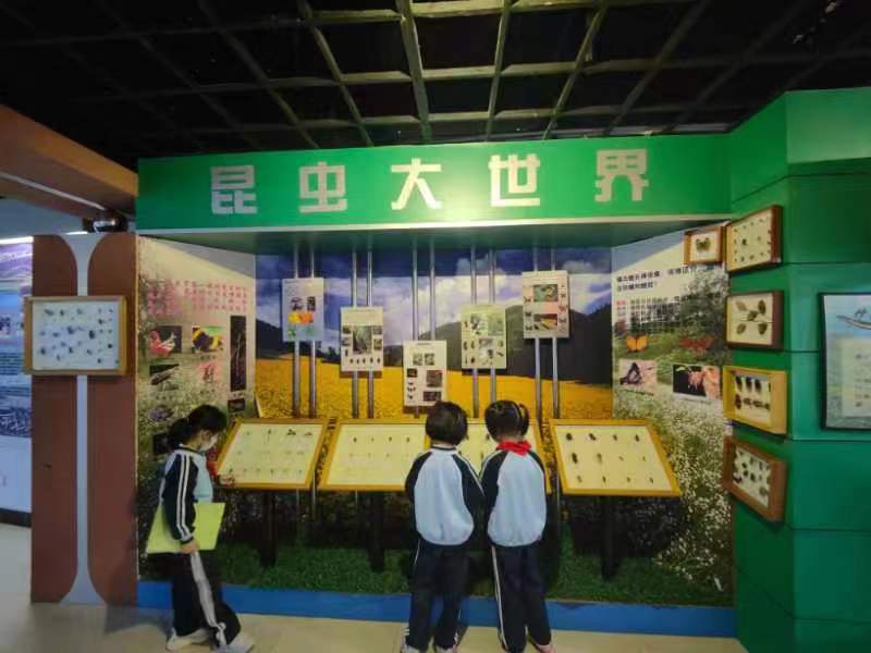 漫画18
组织学生参观海南生物多样性博物馆