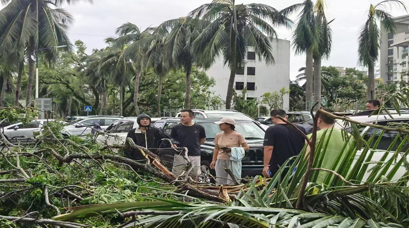 漫画18
教职工返校清理校园 做好灾后恢复工作