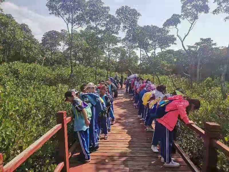 踏寻红色足迹，做时代好少年――漫画18
实验小学2021年研学旅行社会实践活动